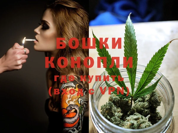 круглые Гусев