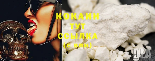 твердый Гусь-Хрустальный