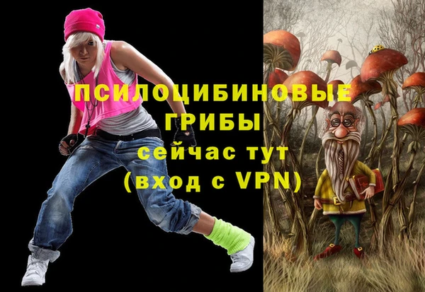 круглые Гусев