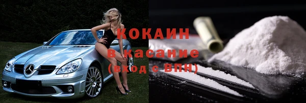 круглые Гусев
