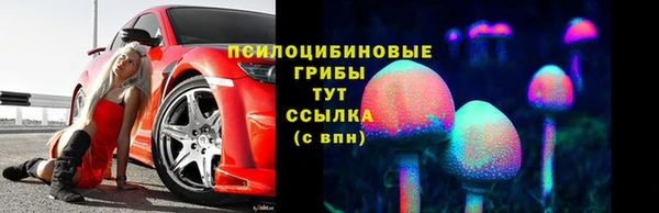 мяу мяу мука Гусиноозёрск