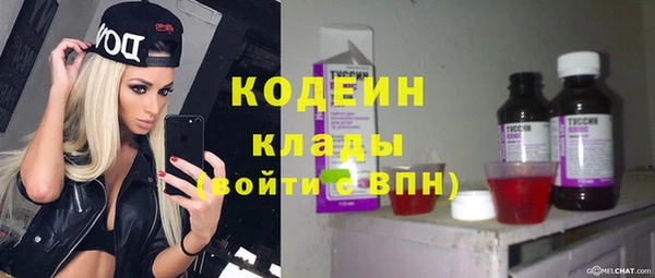 твердый Гусь-Хрустальный