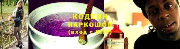 круглые Гусев