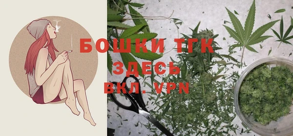 твердый Гусь-Хрустальный