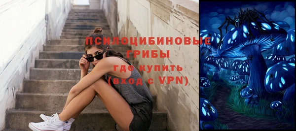 гидропоника Новодвинск