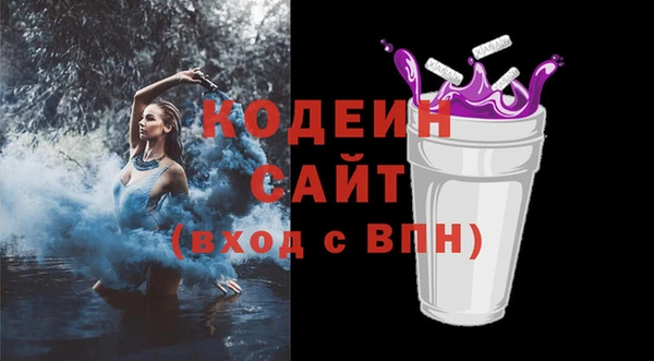 круглые Гусев