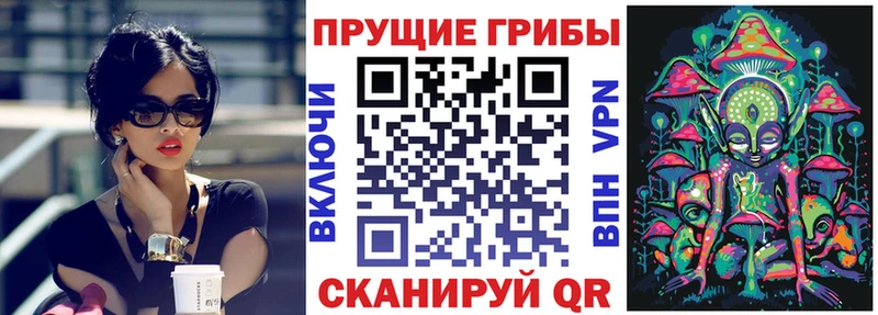 Галлюциногенные грибы Cubensis  купить  сайты  Москва 
